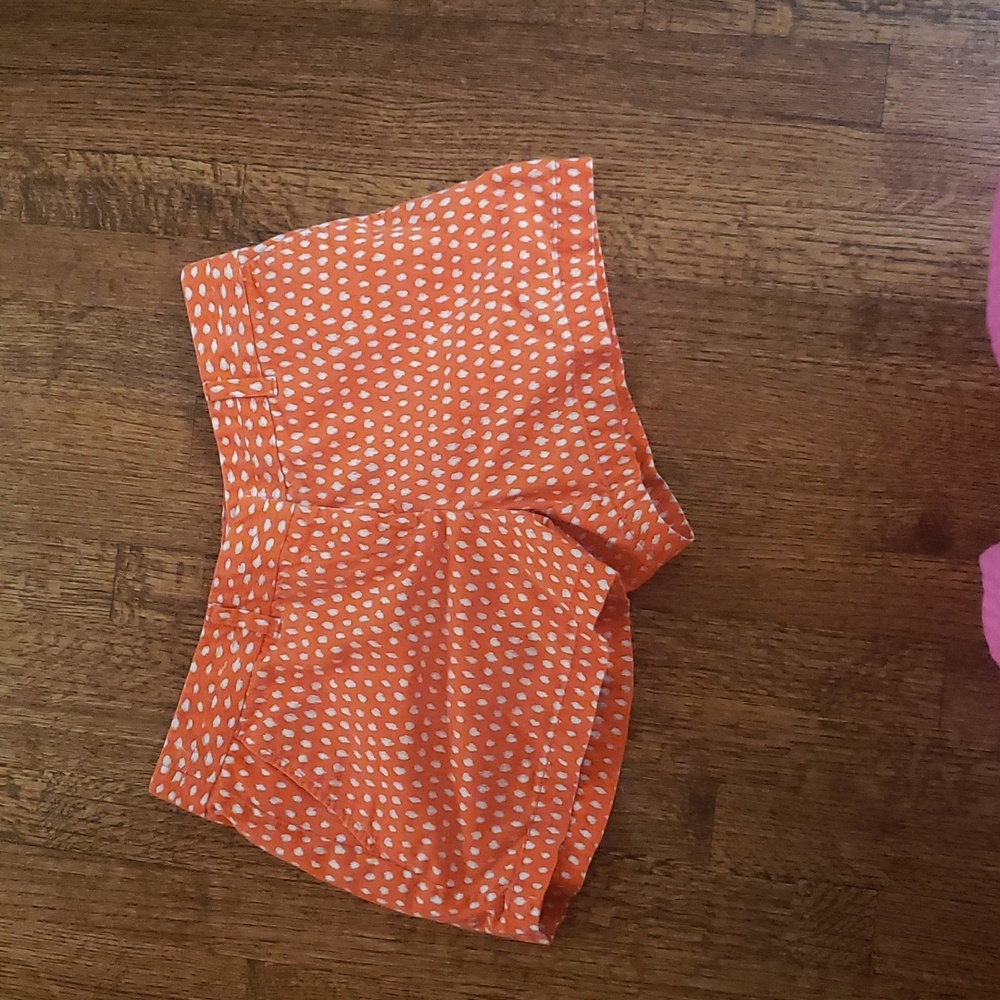 Loft shorts